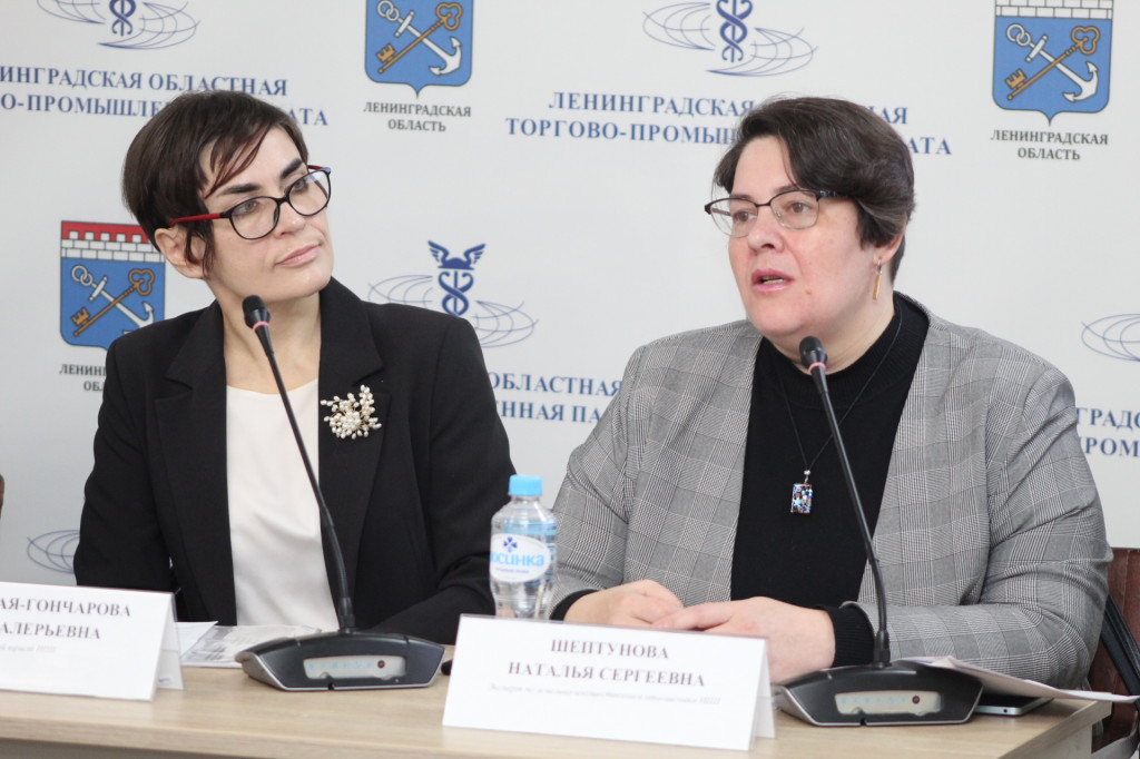 Анна Хованская-Гончарова, Наталья Шептунова, ИПП.